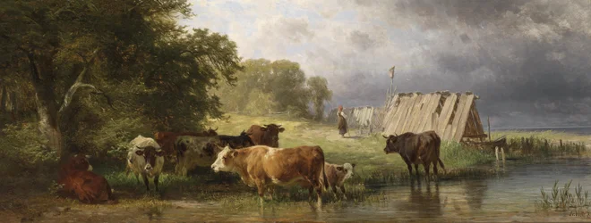 Rast der Kuhherde am Seeufer
